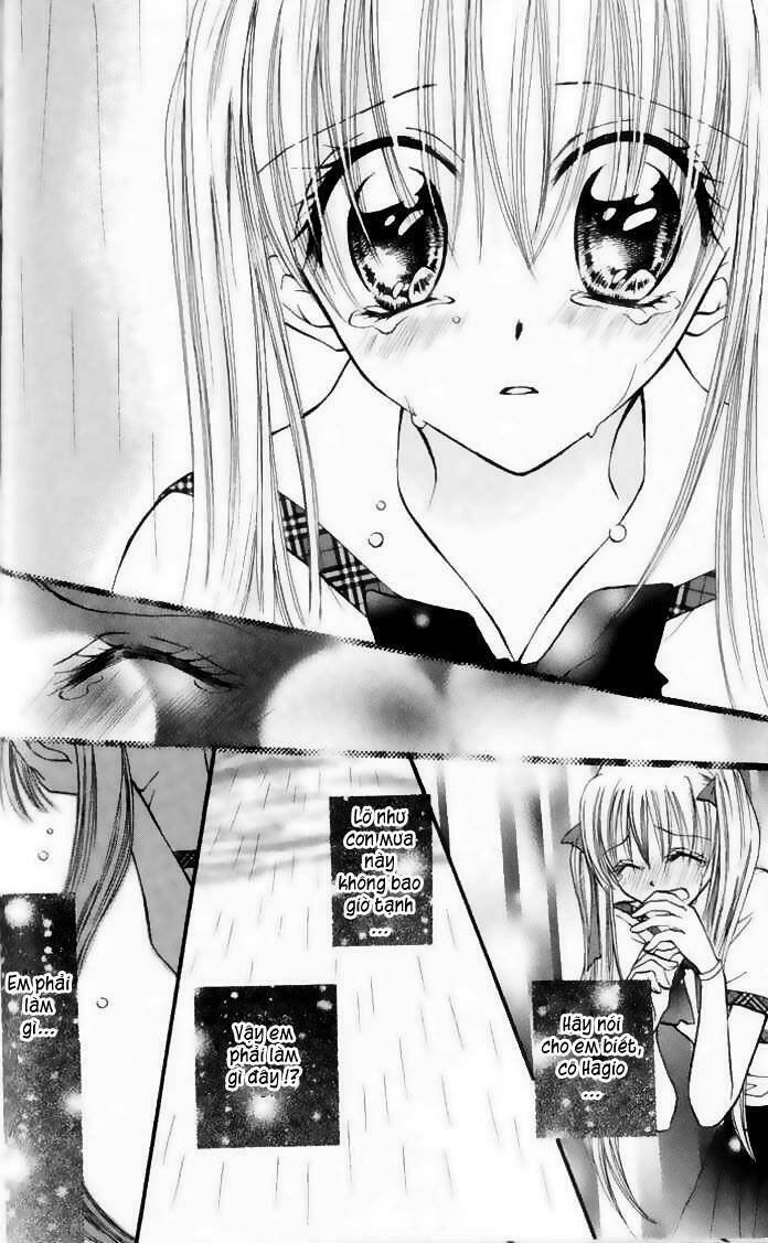 kitchen no ohime-sama - nàng công chúa bánh ngọt chapter 16 31