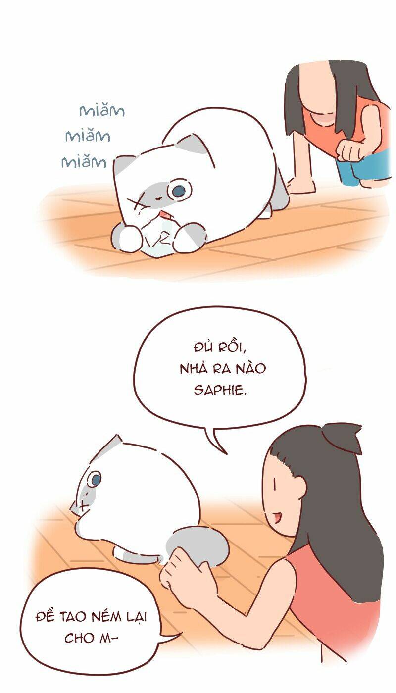saphie: chú mèo một mắt chapter 27 5