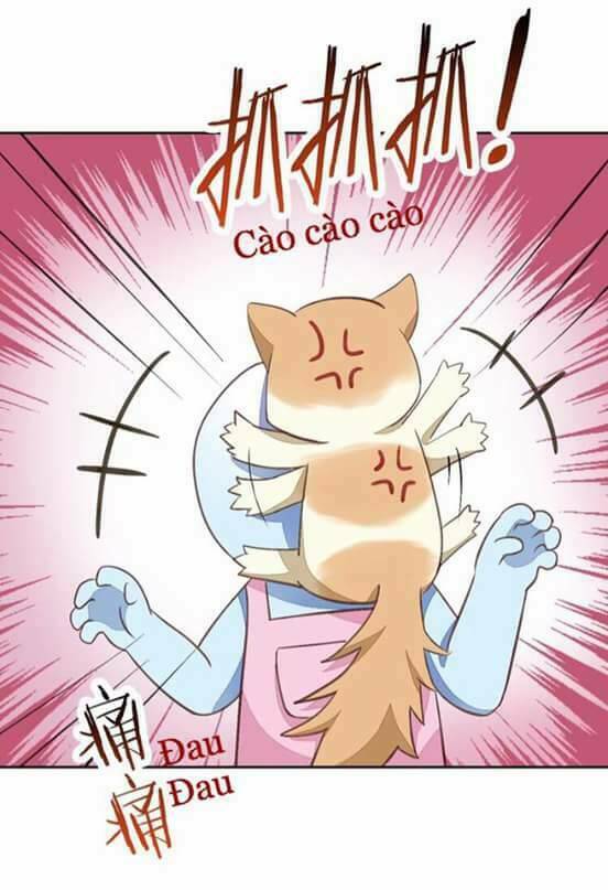 dưới móng vuốt mèo chapter 5 39