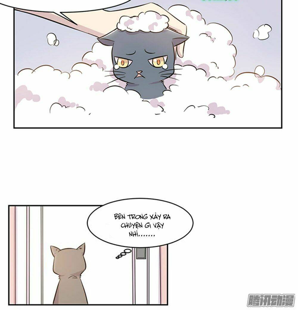 hai chú mèo totem chapter 17 13