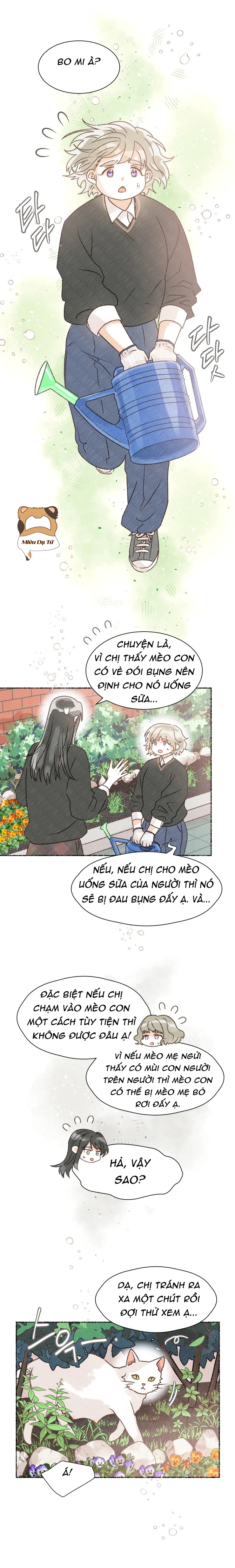 cảnh báo bản quyền chân dung chapter 8 4