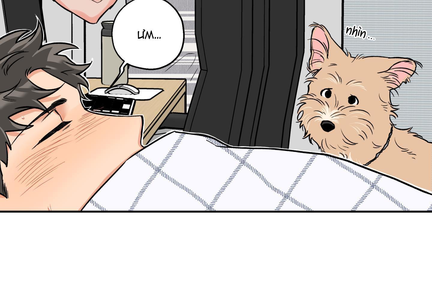 gâu gâu! chapter 49 44