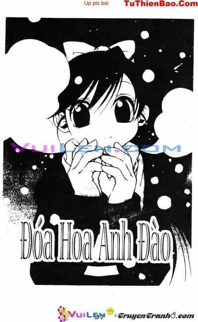 đóa hoa anh đào chapter 5 8