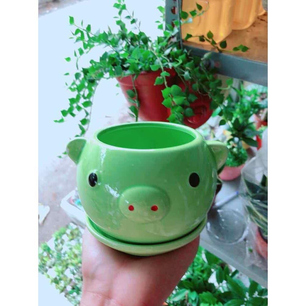 Chậu trồng cây Bán Chạy