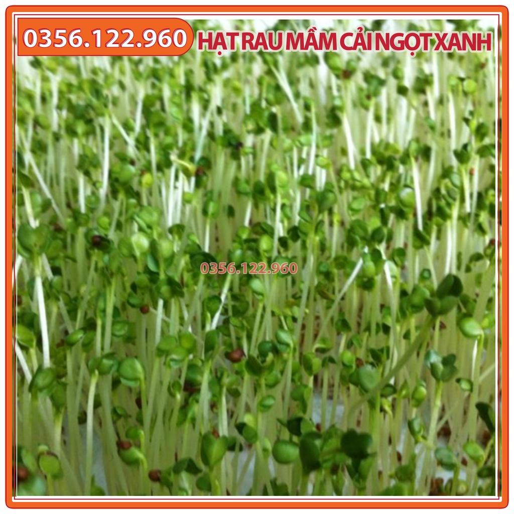 3 gói Hạt rau mầm rau cải ngọt xanh - gói 50g - hạt nảy mầm đồng đều,- chất lượng cao