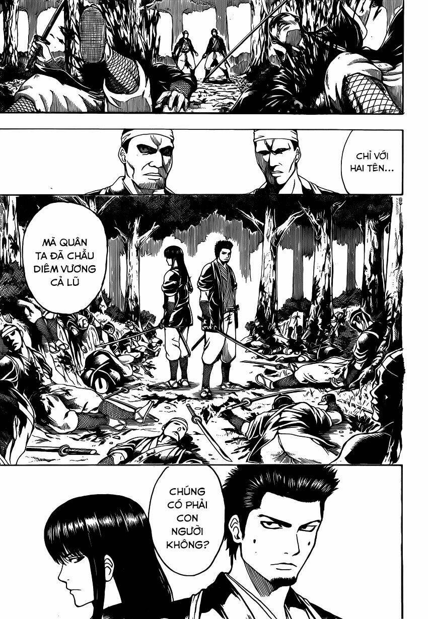 gintama - linh hồn bạc chapter 534 5