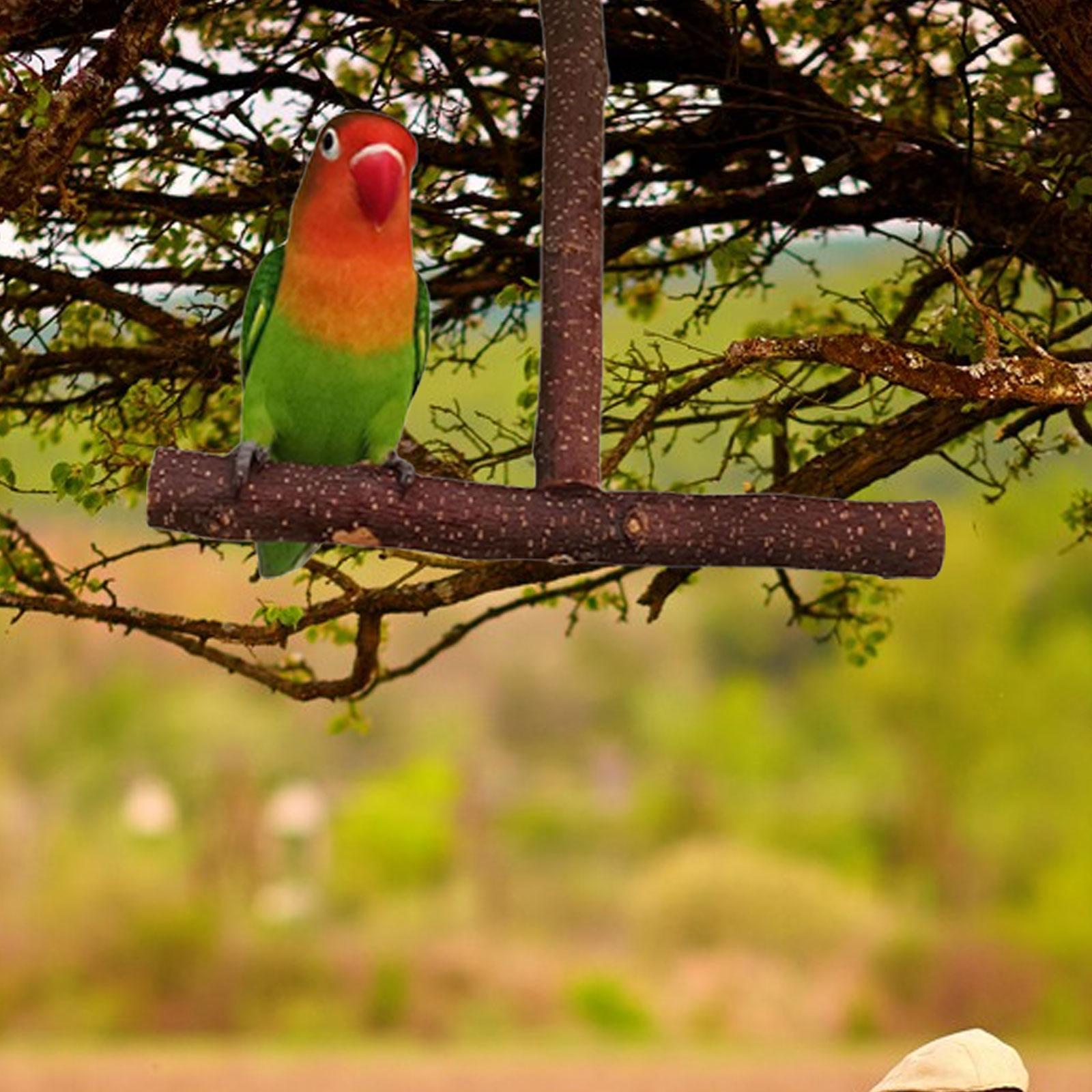 Parrot Perch Bird Stand Pole Wood Parrot Perch Stand Bird Cage Perch for Parakeet Finches Cockatiel