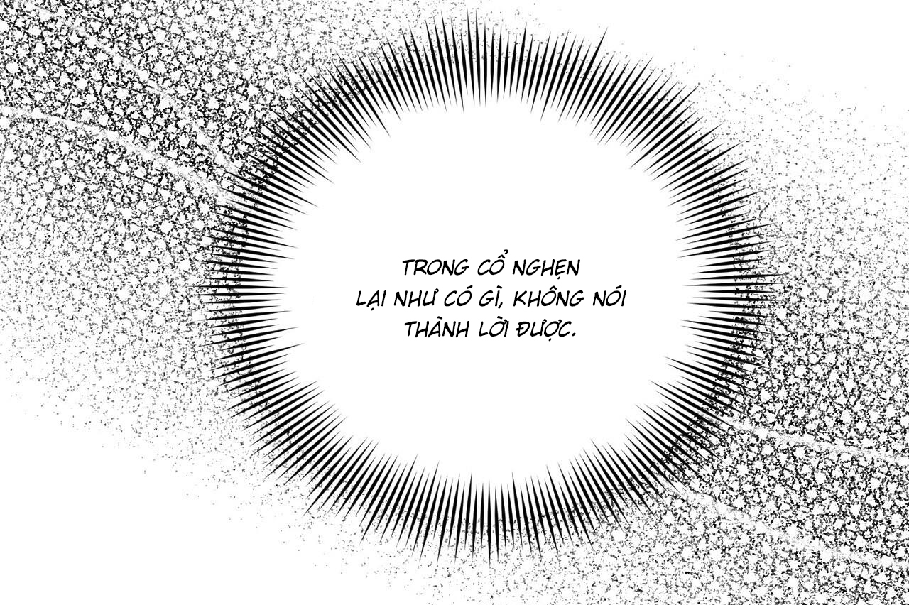 chàng dâu nhà họ kang chapter 32 68