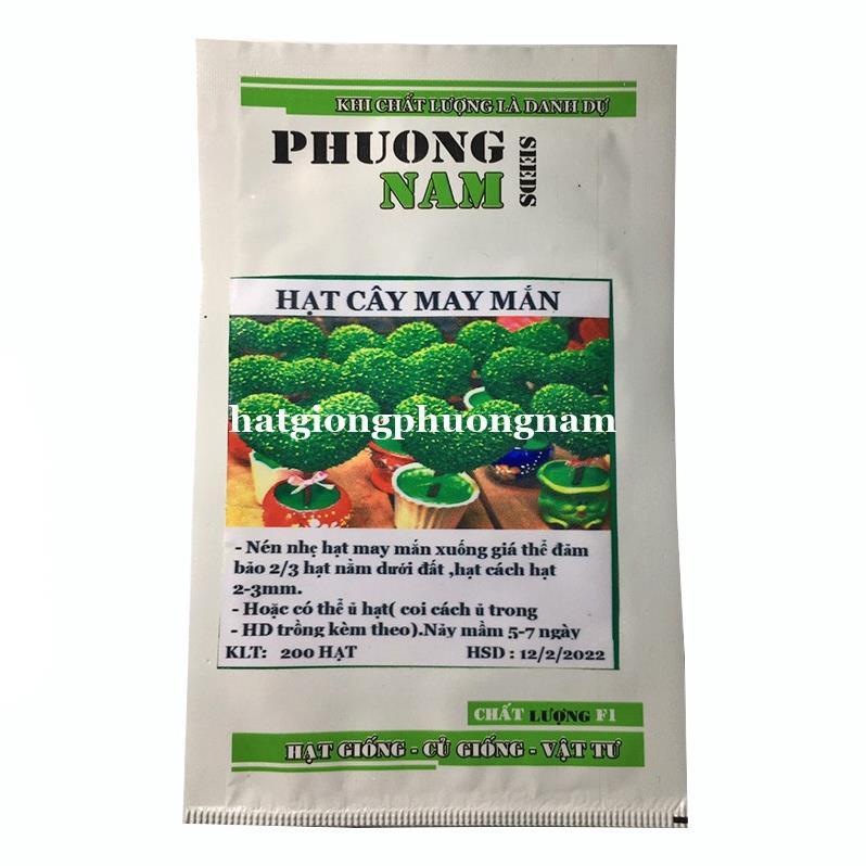 HẠT GIỐNG CÂY MAY MẮN ~ 400 HẠT