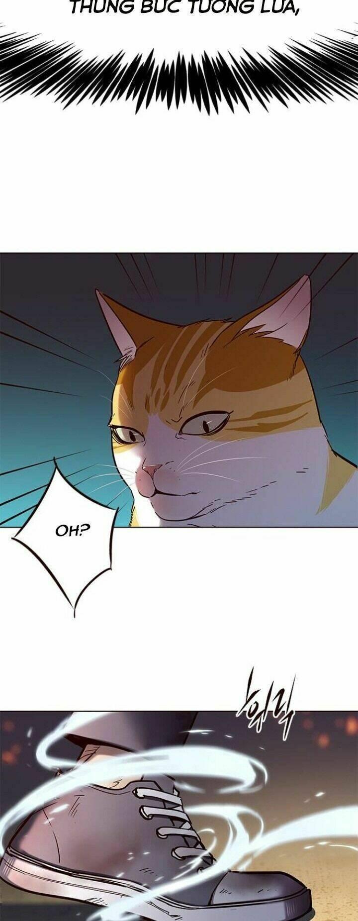 biến thân thành mèo chapter 110 49