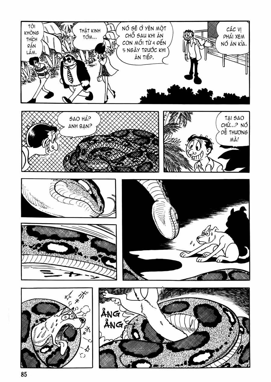 the crater chapter 3 20