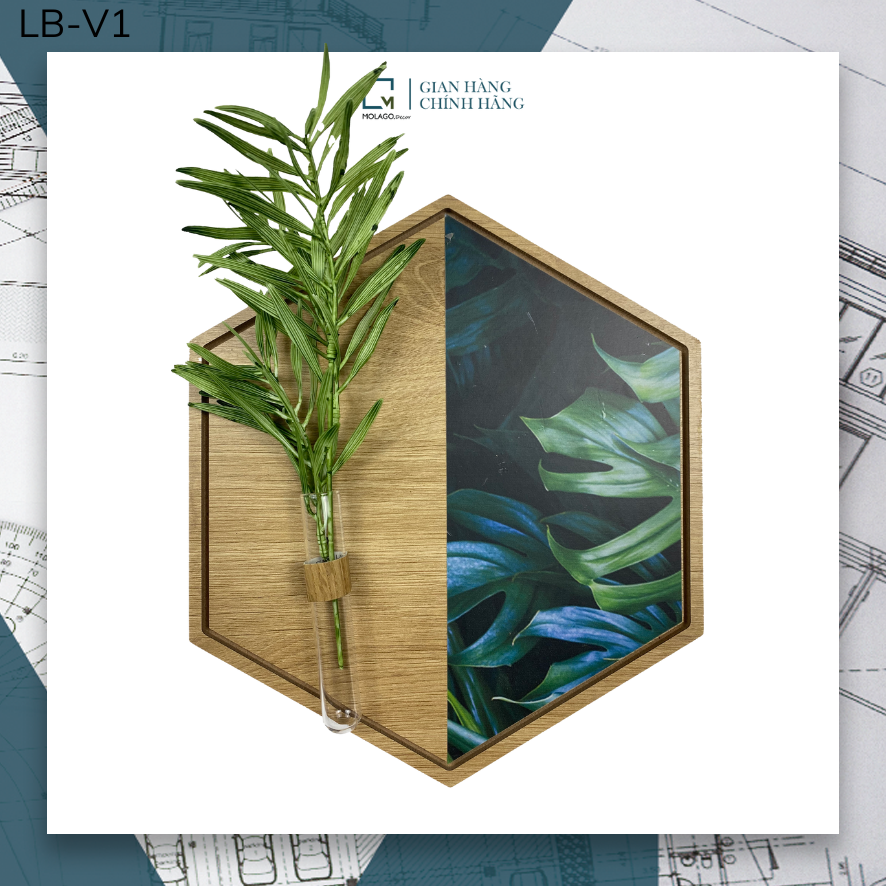 Kệ lục giác trang trí, kệ dán tường hình tổ ong decor phòng, kệ cắm hoa treo tường MOLAGO LB-V
