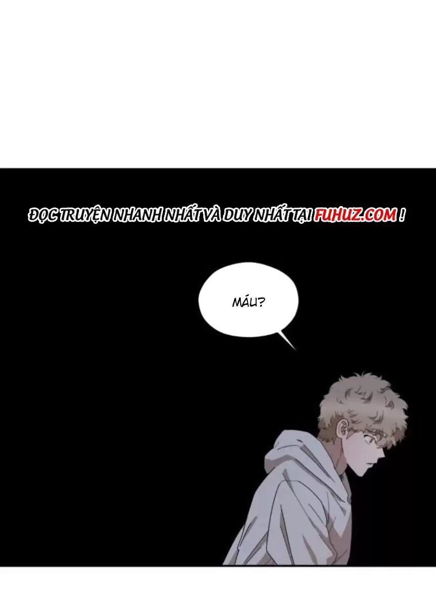 liveta chapter 33 36