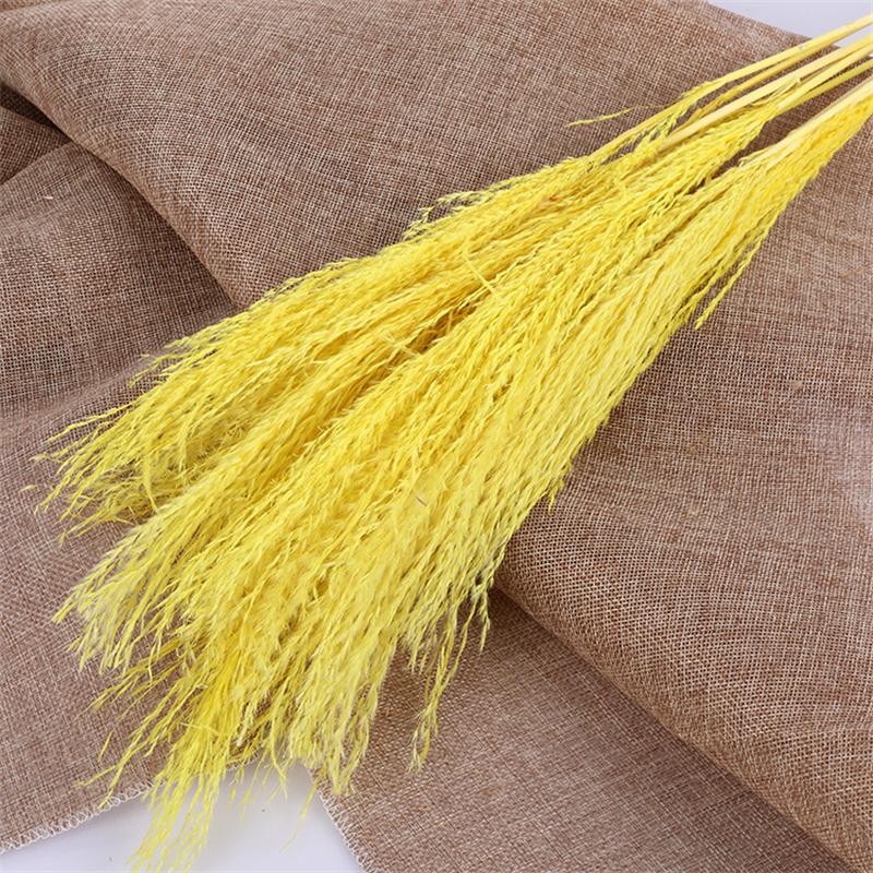 Tự Nhiên Đánh Hoa Khô Reed Pampa Secas Navidad Pampas Cỏ Trang Trí Tiệc Cưới Hoa Déco Artificielles Giáng Sinh