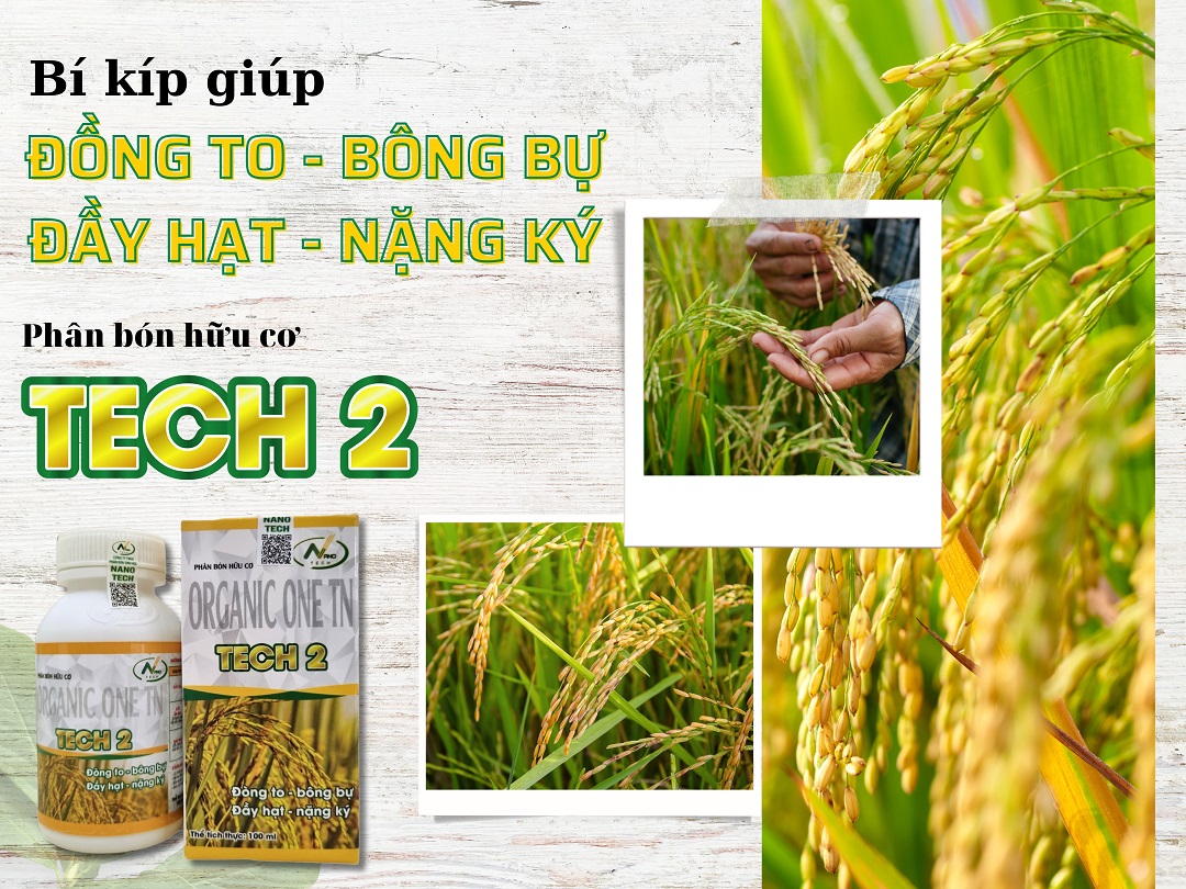 Bộ sản phẩm giúp LÚA ĐÓN ĐÒNG hiệu quả, tiết kiệm chi phí