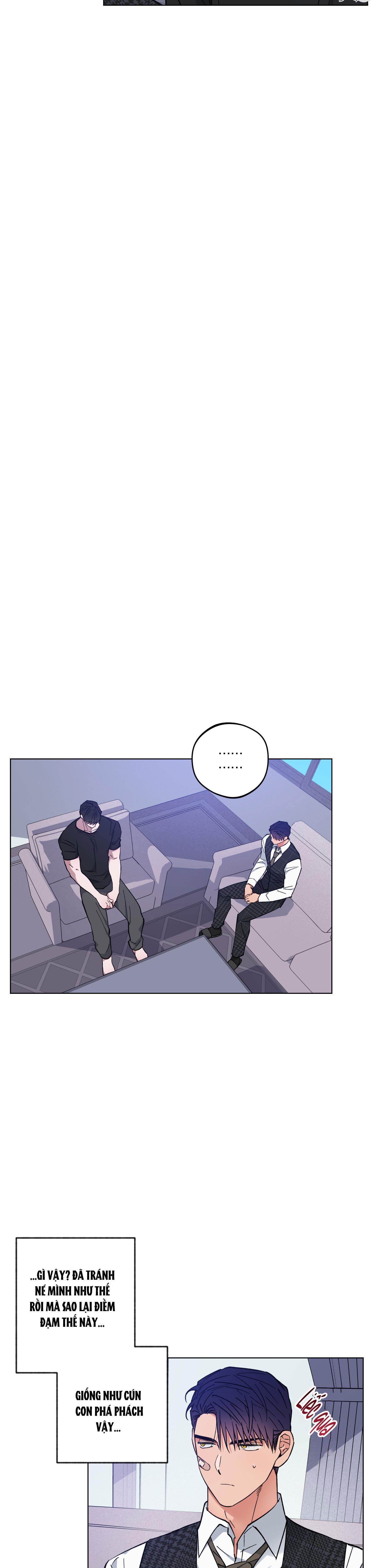 bình minh của rồng chapter 22 24