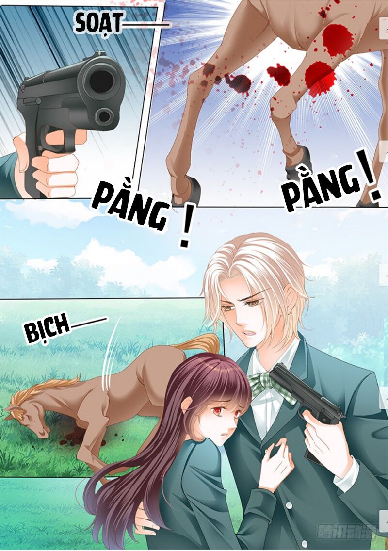 thiểm hôn kiều thê chapter 172 10