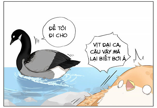 sẻ chiếu mới và nhạn phong sương chapter 8 8