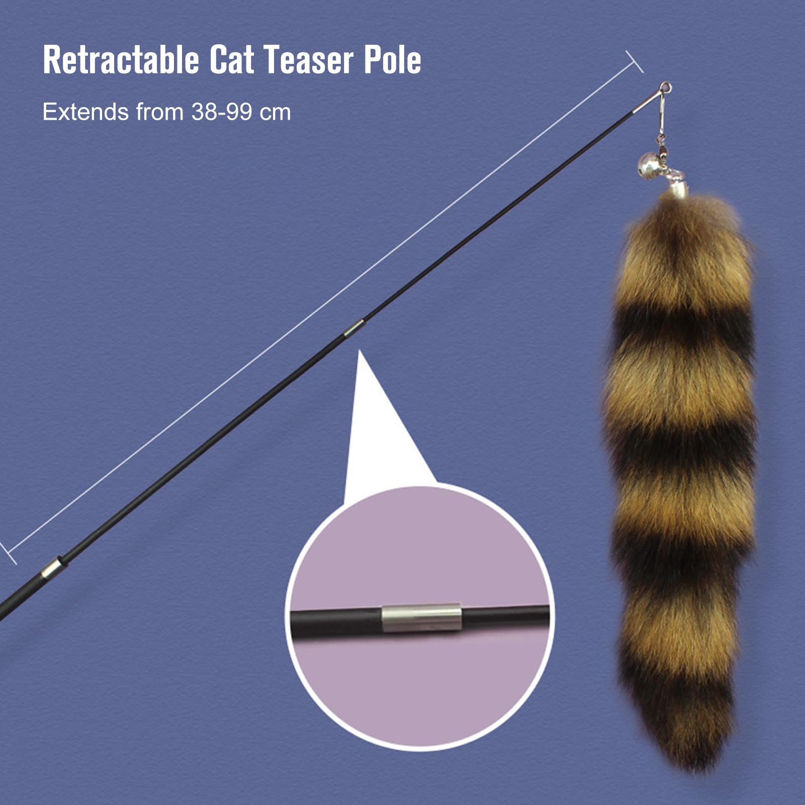 Đồ chơi lông vũ cho mèo tương tác có thê thu vào