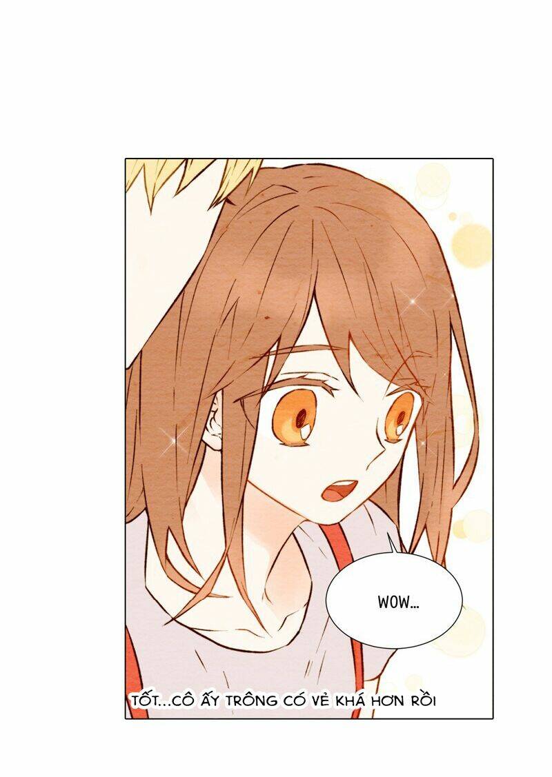 sự sao chép chapter 4 30