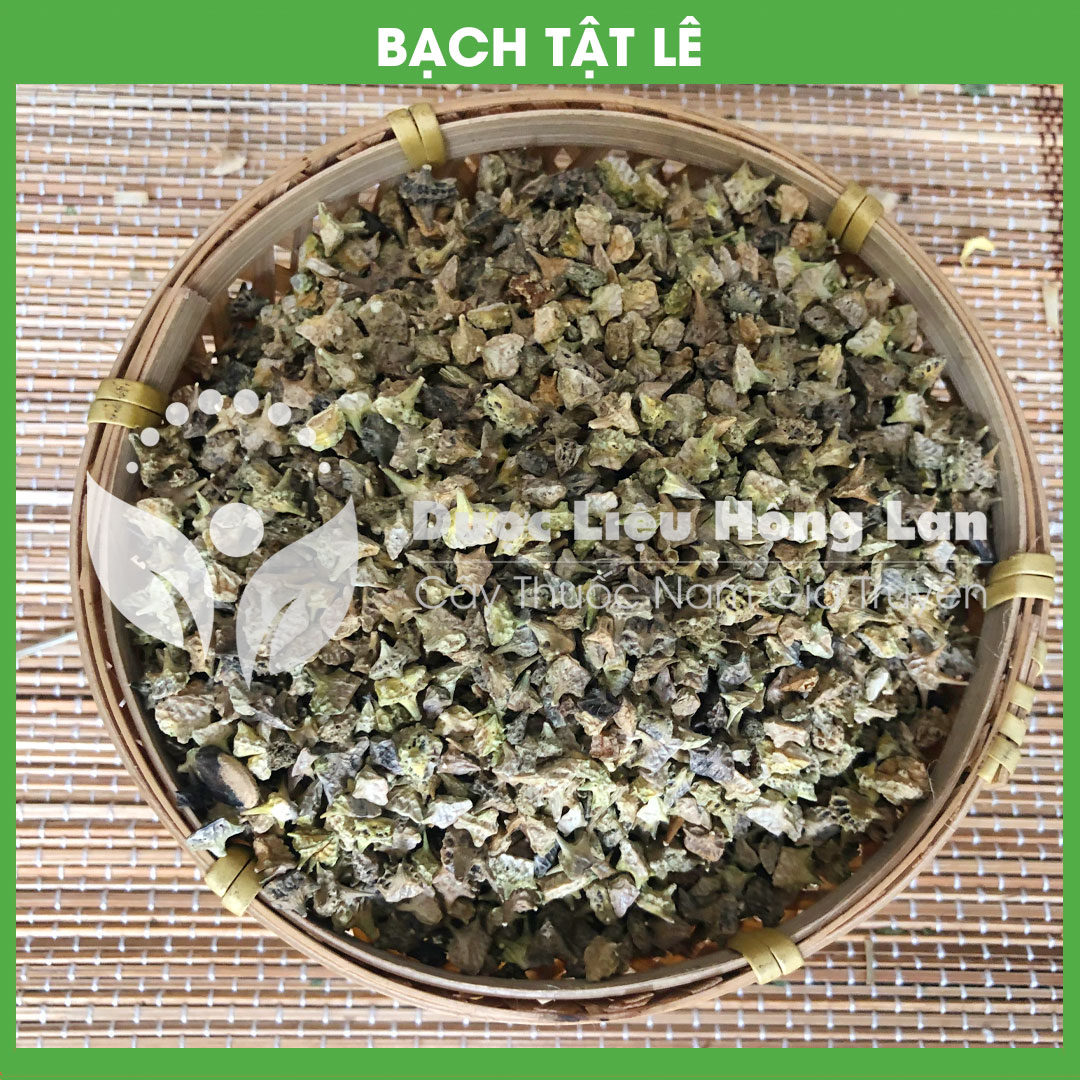 Combo 8 loại đồ ngâm r.ượu tăng cường s.inh lý cực mạnh, bổ thận tráng dương