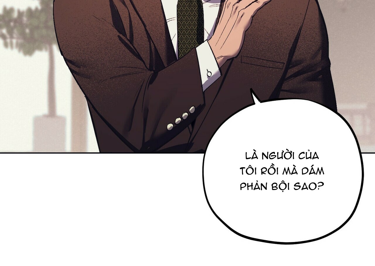 chàng dâu nhà họ kang chapter 5 139