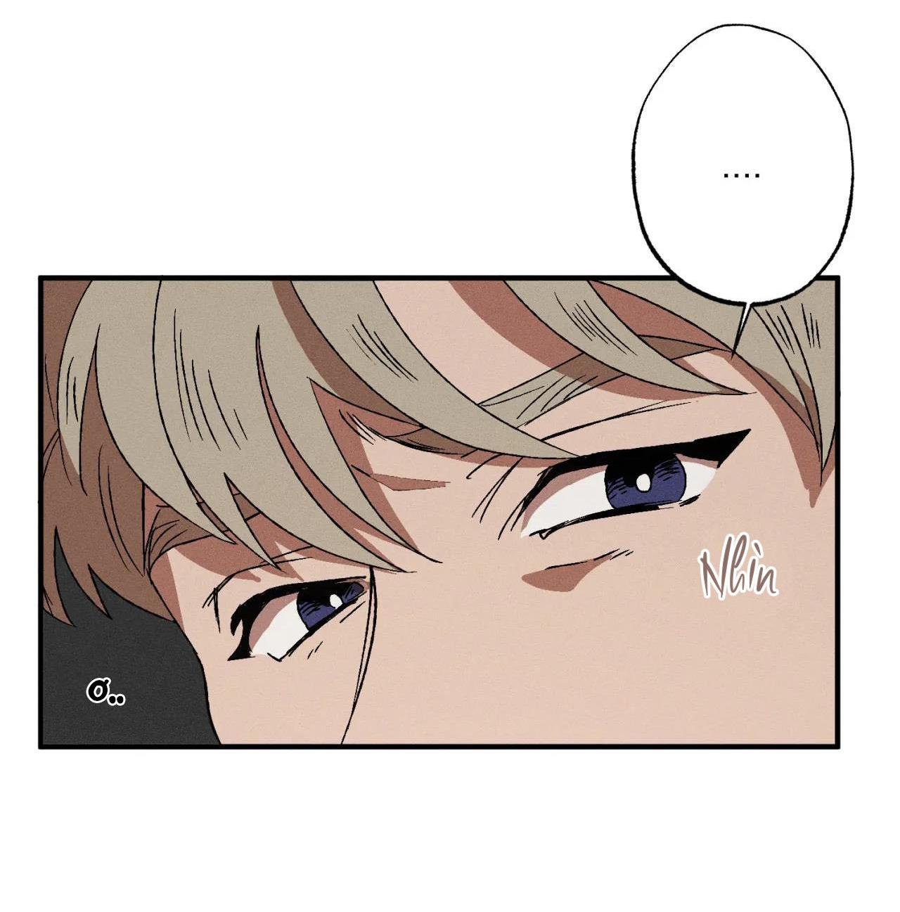 bẫy đôi ngọt ngào chapter 15 15