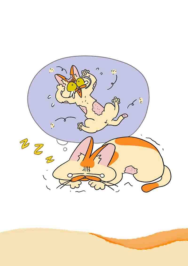 a mãn và mạch trà chapter 23.1 7