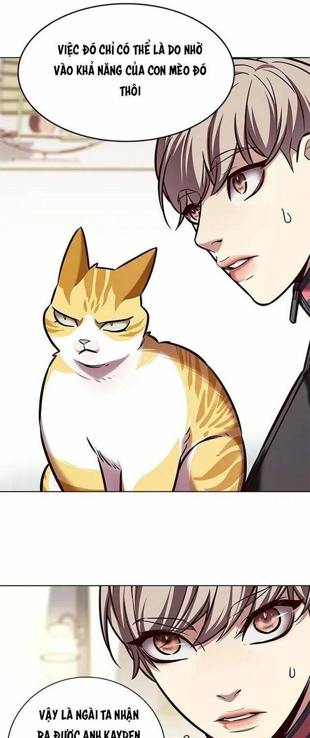 biến thân thành mèo chapter 196 10