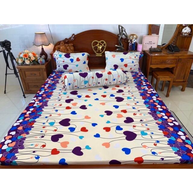 Drap thun hàn quốc