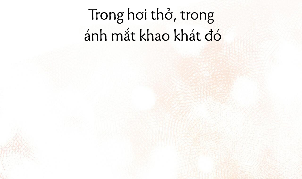 đàn thỏ của habibi chapter 43 207