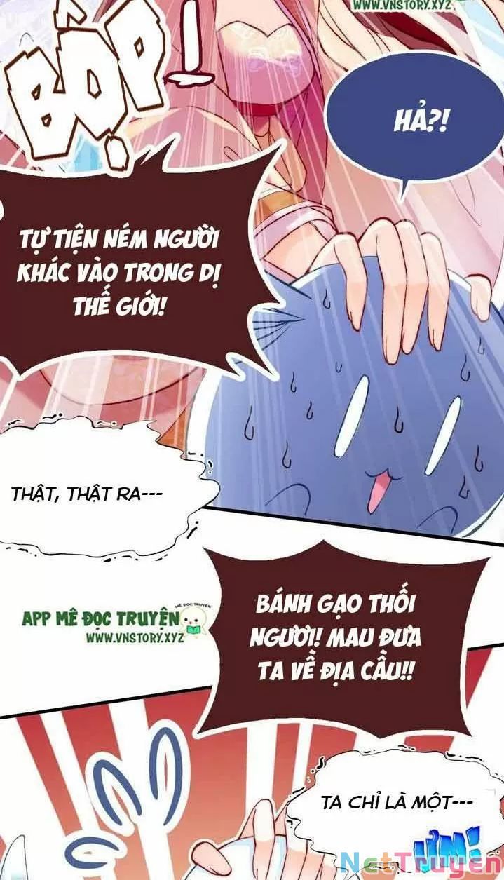 lại bị bệnh chiều chuộng quấn lấy chapter 11 29