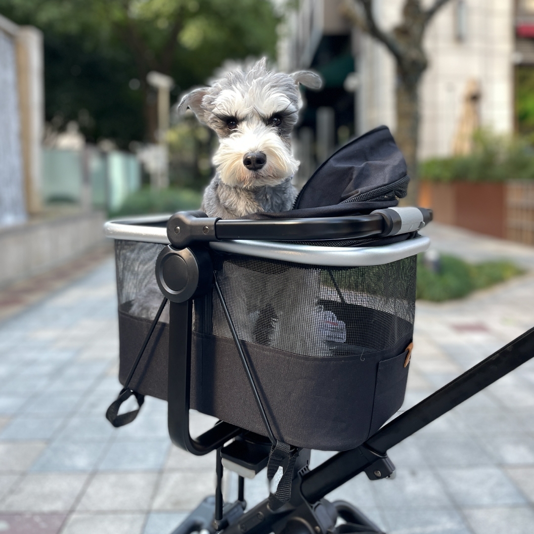 Unilove Lồng đựng, vận chuyển thú cưng tiện lợi, an toàn On-the-Go
