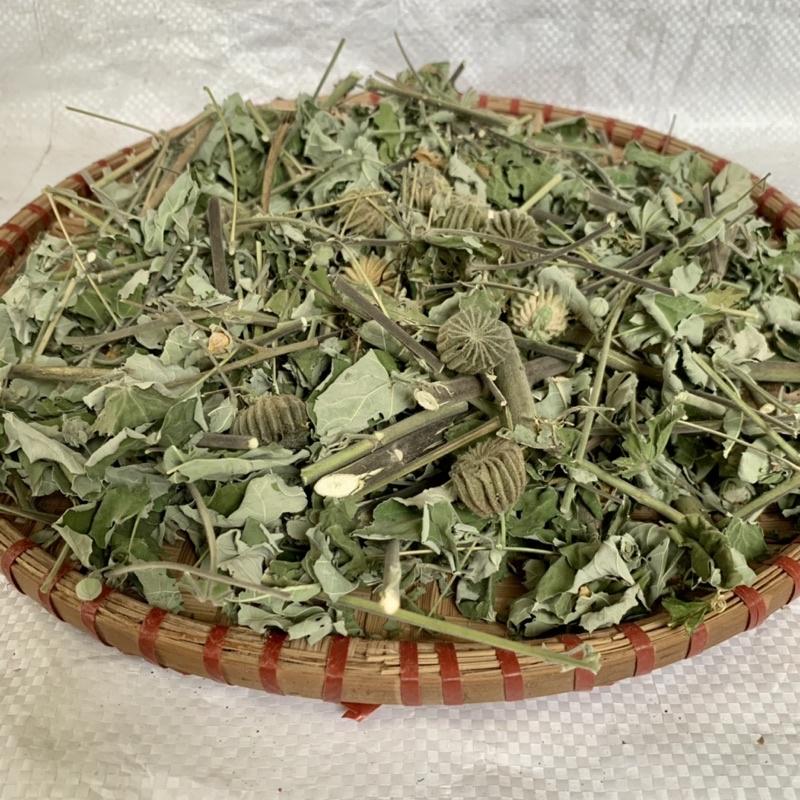 Cây Cối Xay khô sạch băm loại 1kg Cty thảo dược số 1