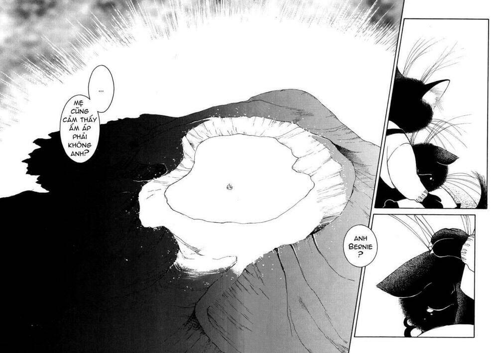 bernie's drawing diary chapter 5 29