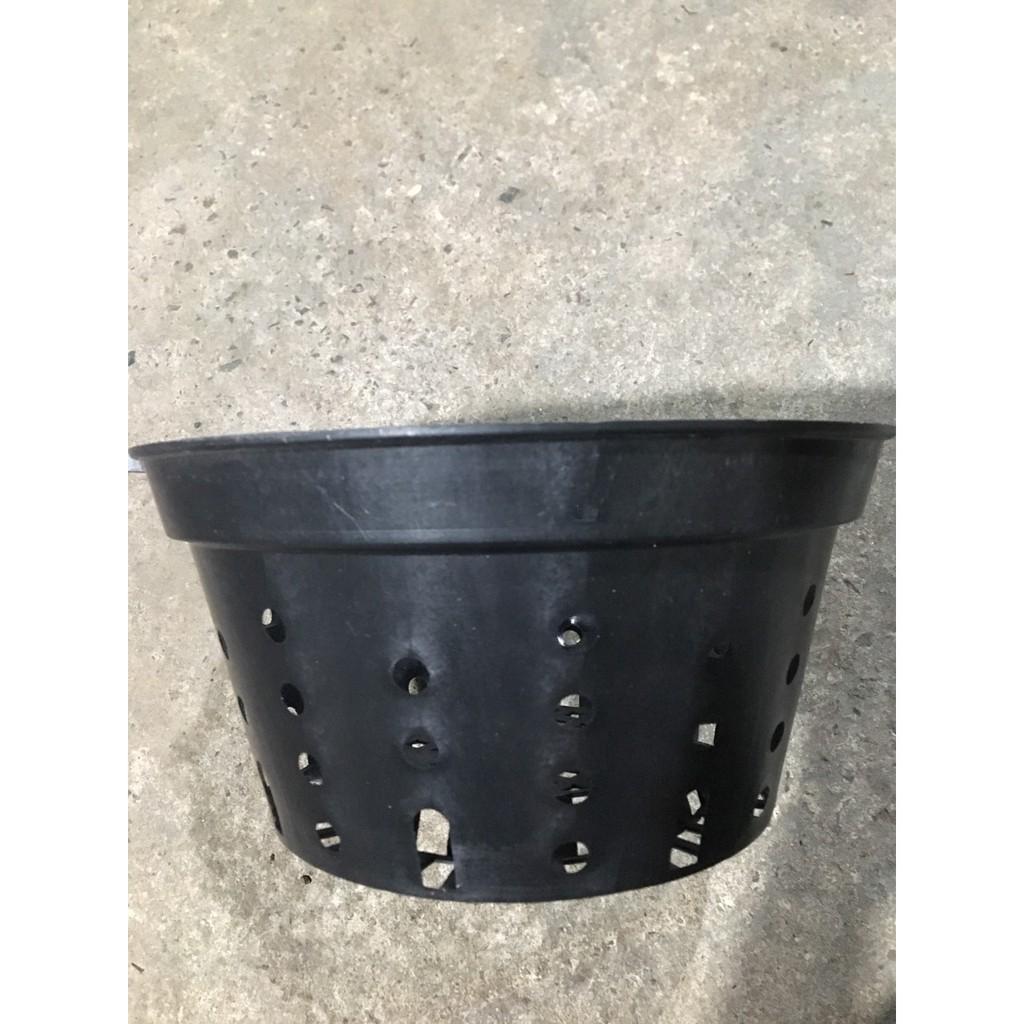 Combo 10 chậu nhựa đen trồng lan đường kính 25 cm lỗ tròn