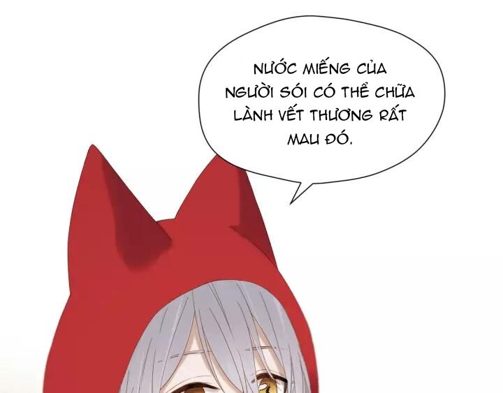 lượm được một tiểu hồ ly phần 3 chapter 97 5