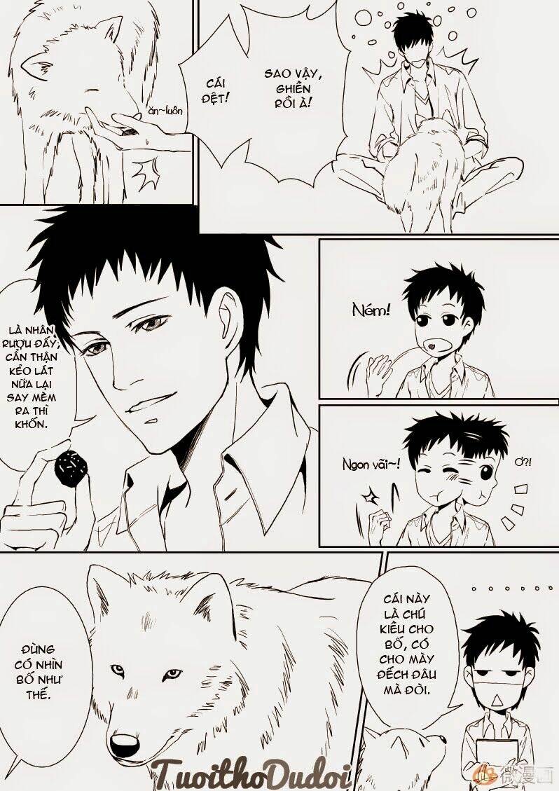 sự mê hoặc của sói chapter 9 9