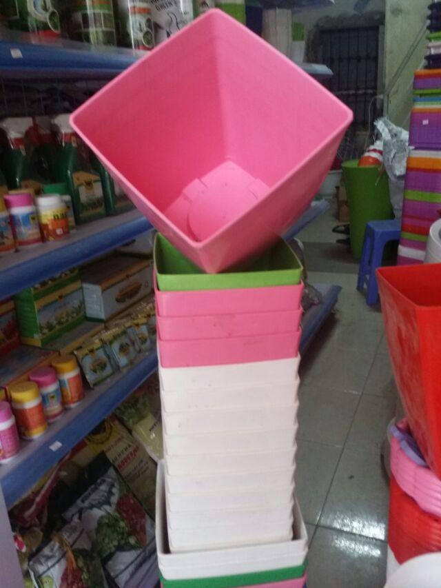 Chậu vuông v25