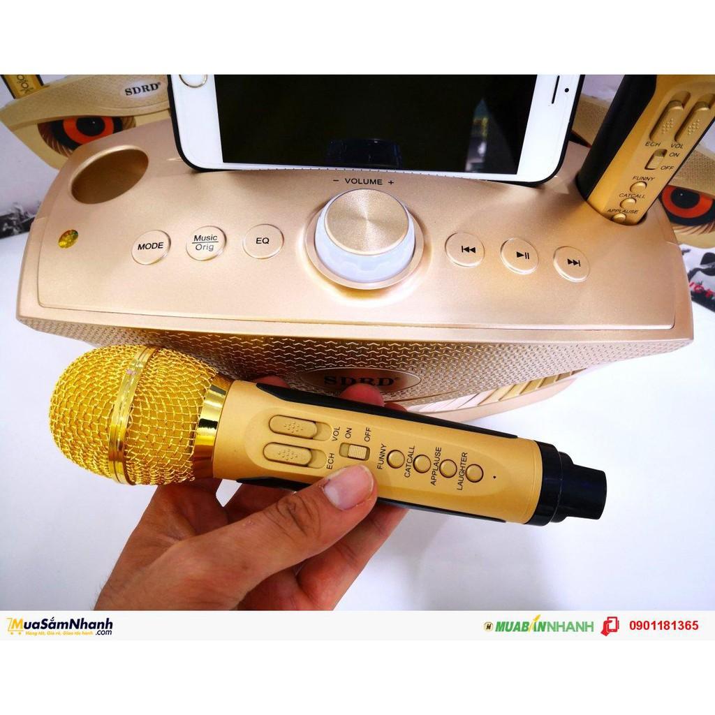 Loa karaoke không dây di động hai Mic, Loa kéo micro ko dây hình mắt cú công suất cao SD 306 - Hàng chính hãng