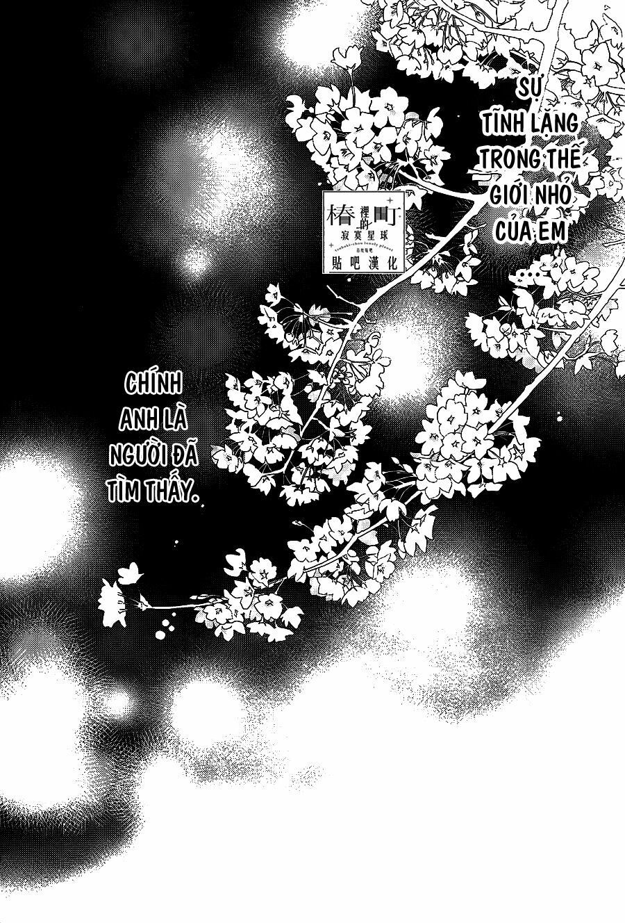 những đóa sơn trà kia, sẽ vì em mà đơm hoa khoe sắc chapter 57 23