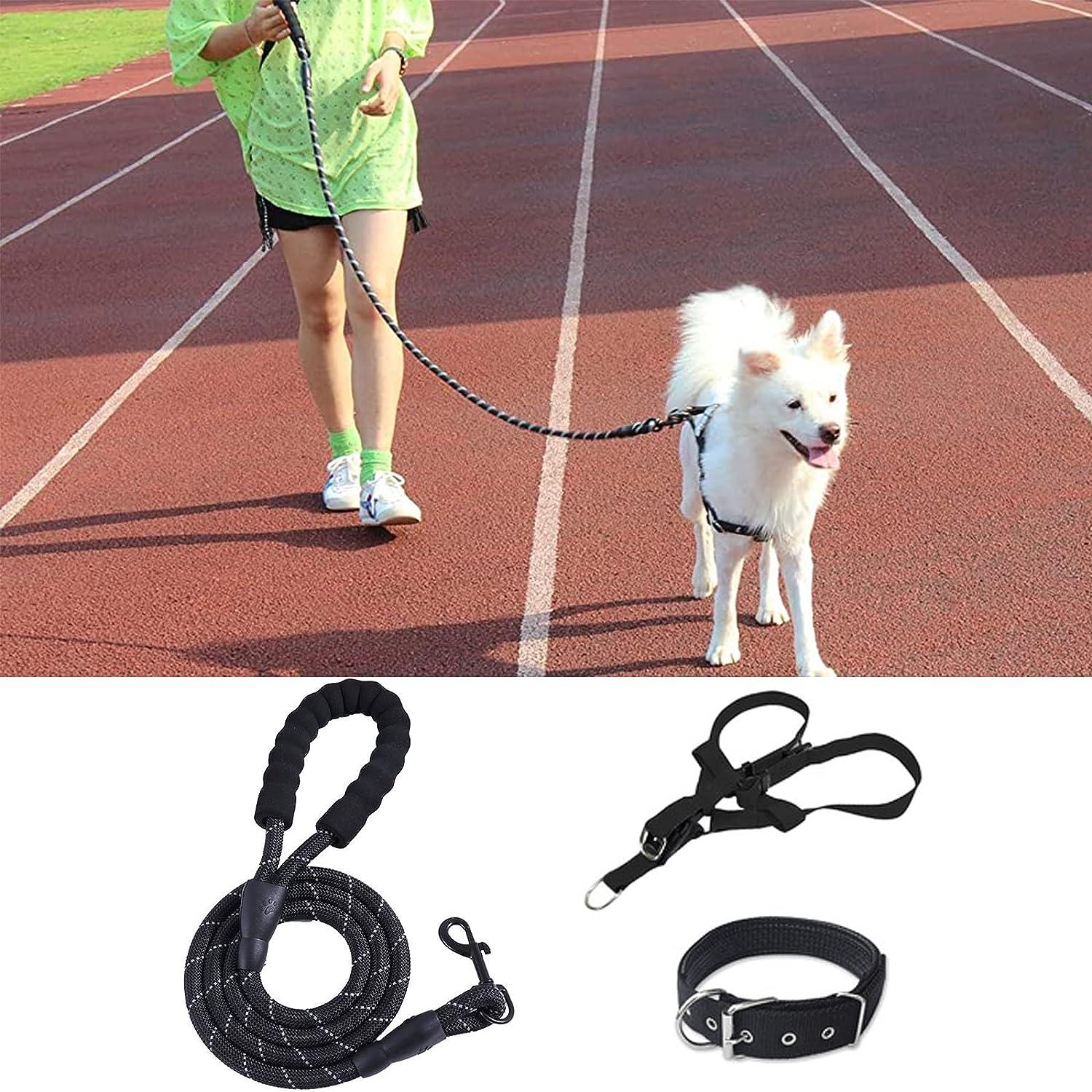 Cái Dây Xích Chó Phản Quang, Bộ Dây Đai và Vòng Cổ Cho Thú Cưng, Nylon