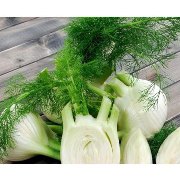 1gr hạt giống củ thì là giống Đức