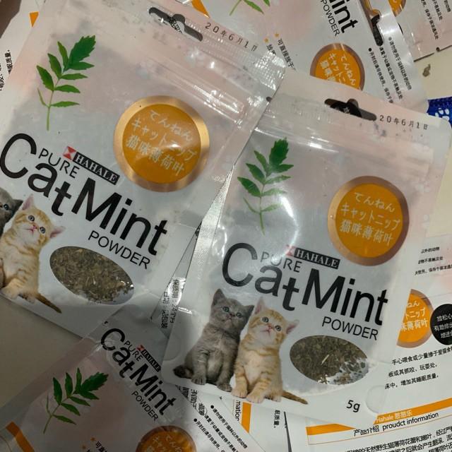 Túi Cỏ bạc hà catnip cho mèo thư giãn Ngáo Và Gâu Đần - Catnip khô cho mèo - Bạc hà cho mèo