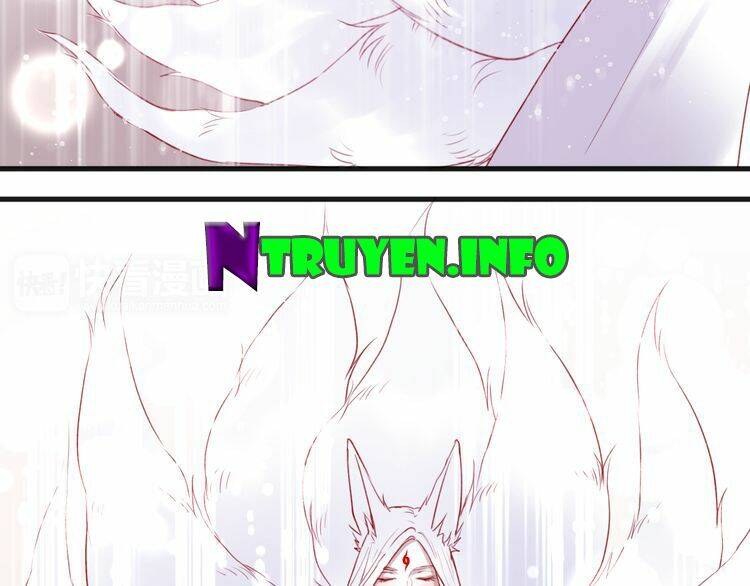 lượm được 1 tiểu hồ ly chapter 74 5