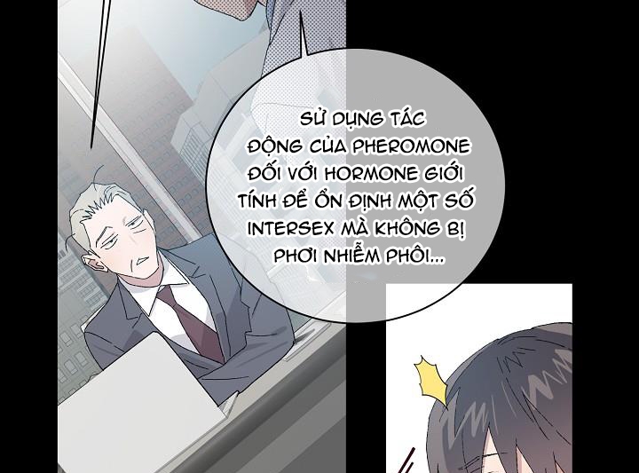 chàng tuấn mã của tôi chapter 29 20