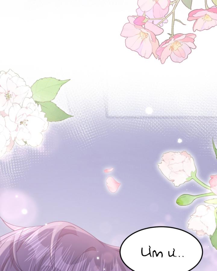 xuyên sách vào nhân vật nữ thứ n chapter 1 19