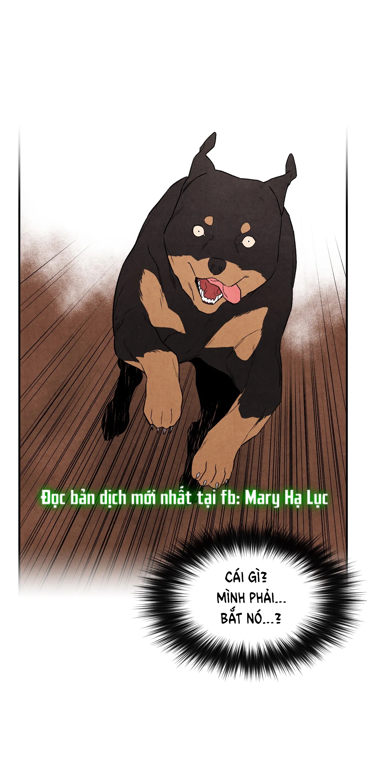 1 cộng 1 bằng.... chapter 11 5