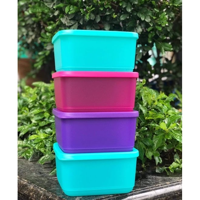 Bộ hộp BQTP Small Square Round Tupperware (4 hộp)