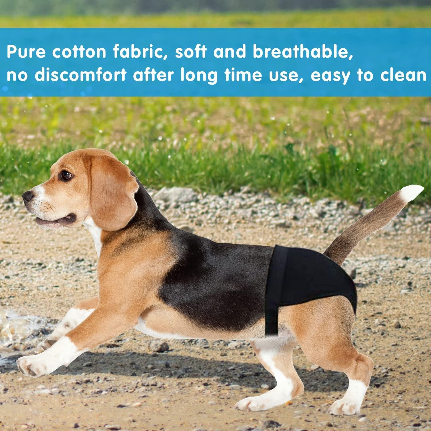 Tã Cho Chó, Thời Kỳ Sinh Lý Doggie Panties Tã Cho Chó